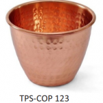 tps-cop-123